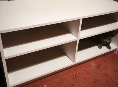 Cabinet shelf