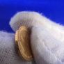 1902 Russian 5 Roubles gold coin Image 8