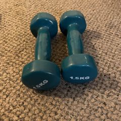 2x dumbbells 1.5kg each