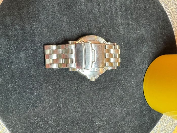 Citizen pro master (Ecozilla)