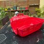cat carrier Image 3