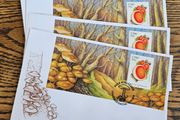 Ireland 2008 Fungi FDC First Day Covers x4