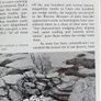 Burren Journey Image 10