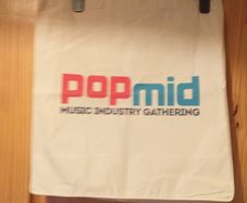 Trendy Canvas Bag.