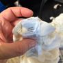 Free crib & cot sheets Image 5