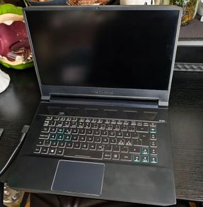 Acer Predator Triton 500