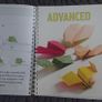 Book- Fold and Fly, Paper Planes/ Planet Origami: Cosmic Paper Folding for Kids Image 6