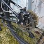 Bicke Image 5