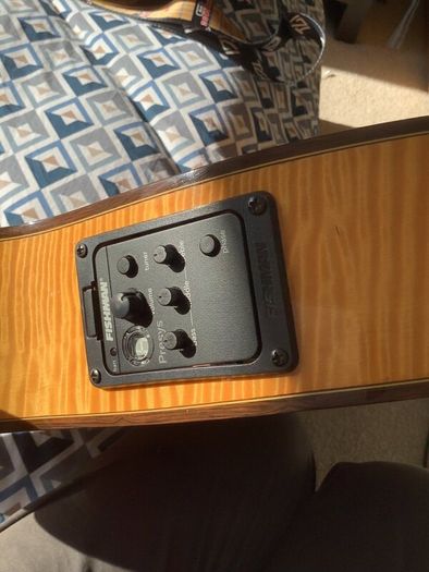 1986 Washburn Monterey