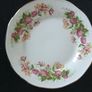 QUEEN'S Fine Bone China Rosina China "Woman and Home" Tea set Image 10