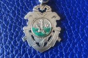 Silver Irish Medal
