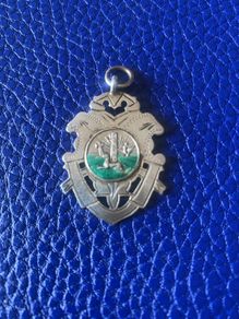 Silver Irish Medal