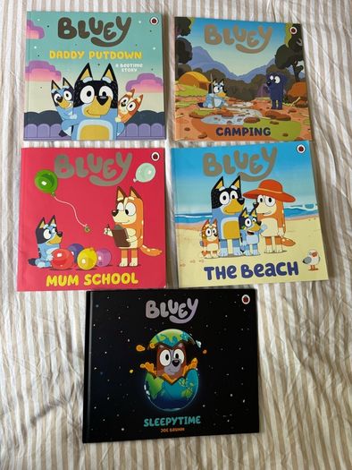 Bluey kids book bundle