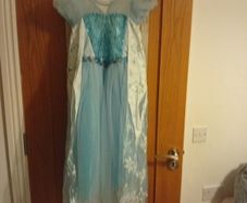 girls princess dress
