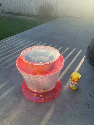 fish tank