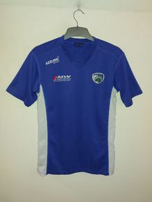 laois gaa jersey