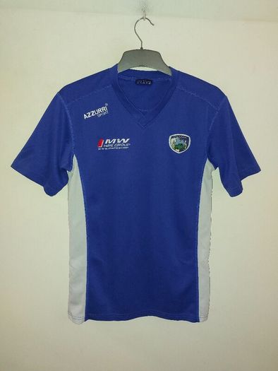 laois gaa jersey