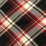 Check Skirt from H&M BNWT Image 3