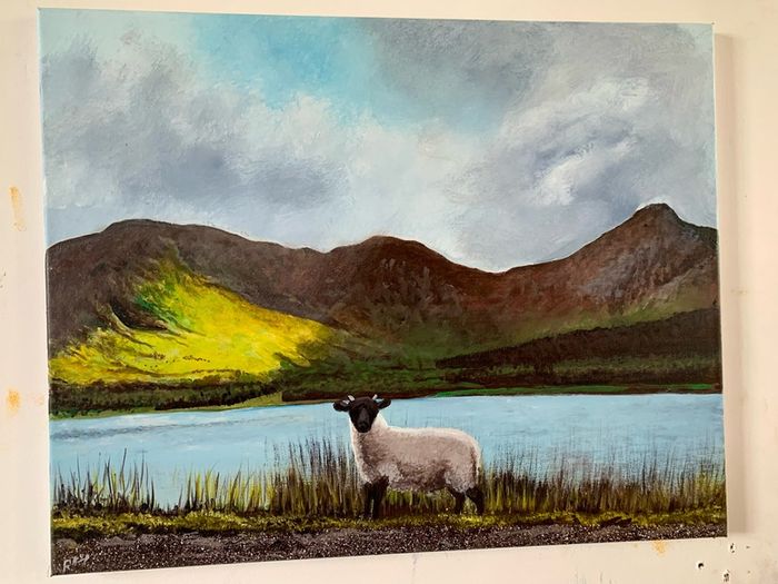 Little Lost Sheep Connemara Afternoon Sun by the Lake