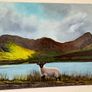 Little Lost Sheep Connemara Afternoon Sun by the Lake Image 5
