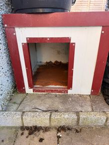 Dog House