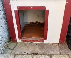 Dog House