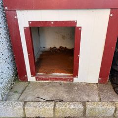 Dog House