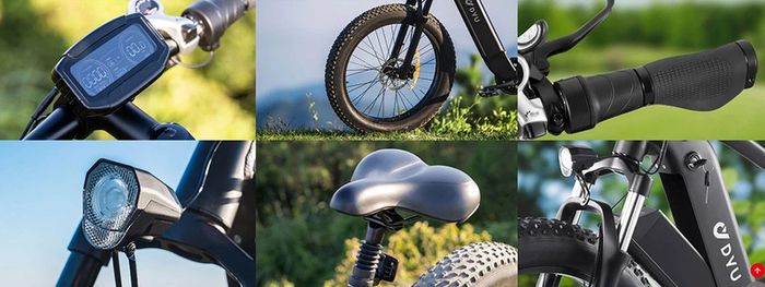 DYU King 750 Mountain E-Bike