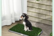 Artificial Grass Dog Toilet