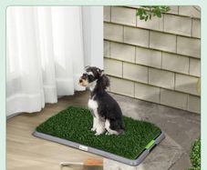 Artificial Grass Dog Toilet