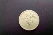 Old English Pound Coin