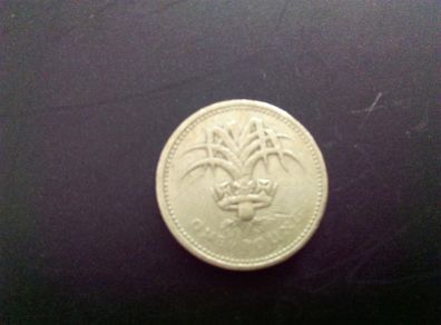 Old English Pound Coin