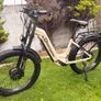 e bike Image 2