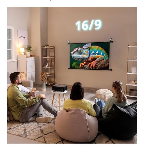 Projector screen