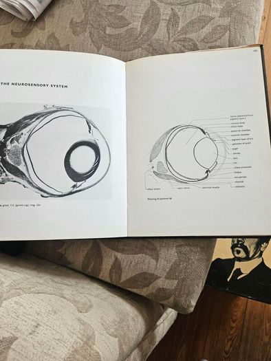 An Atlas Of Histology. By W.h. Freeman And Brian Bracegirdle. Second Edition Large Volume Hardback With Dustjacket.  Book In Good Condition.  Dustjacket Tatty.  See Photos For Same.