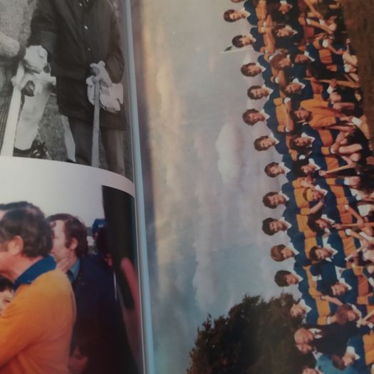 Hurling Revolutionary/ The Life & Times of Ned Power