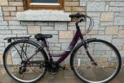 Apollo Elyse Womens Bike 16"