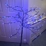 Tree...reduced To Image 3