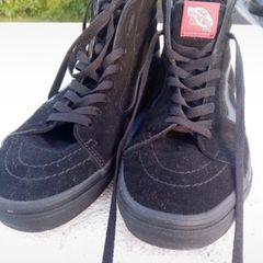 Men Vans
