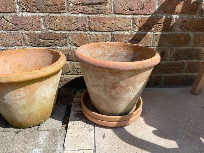 Terracotta Plant Pots