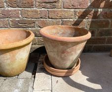Terracotta Plant Pots