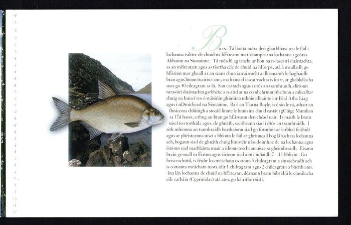 2001 Ireland Freshwater Fish Commemorative Stamp Booklet Mint Never Hinged (MNH). Photos of contents shown.
