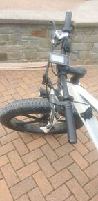 Electric E Wilde mountain bike