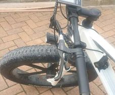 Electric E Wilde mountain bike