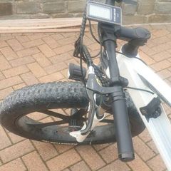 Electric E Wilde mountain bike