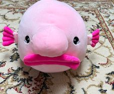 Toy soft toy blowfish large