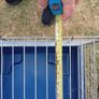 small animal cage Image 4