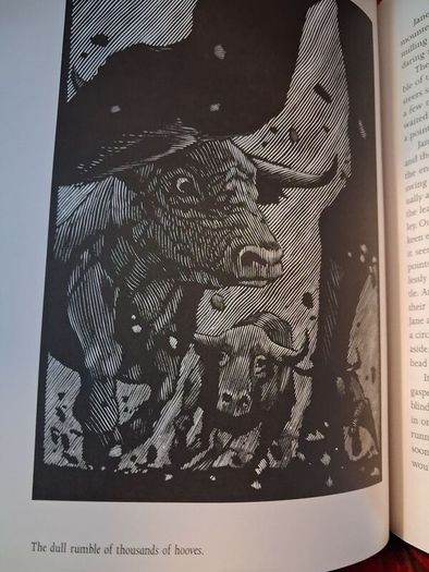 Cowboy Stories / Illustrated by Barry Moser / 2007