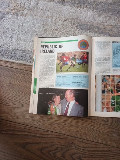 World Cup 90 FIFA Programme (Sunday Tribune)