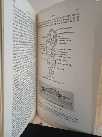 The Invertebrata: A Manual for the Use of Students by the Late L. A. Borradaile and F. A. Potts (RB246)